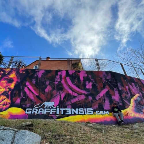 trabajos murales graffiti graffitensis