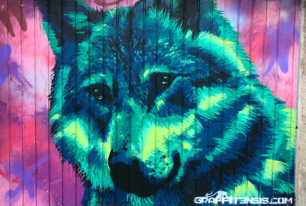 murales en el espinar